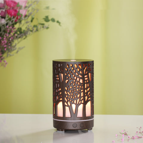 Hollow Aroma Diffuser Ultrasonic Atomizer Household Humidifier